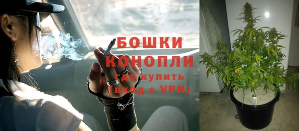 дурь Белокуриха