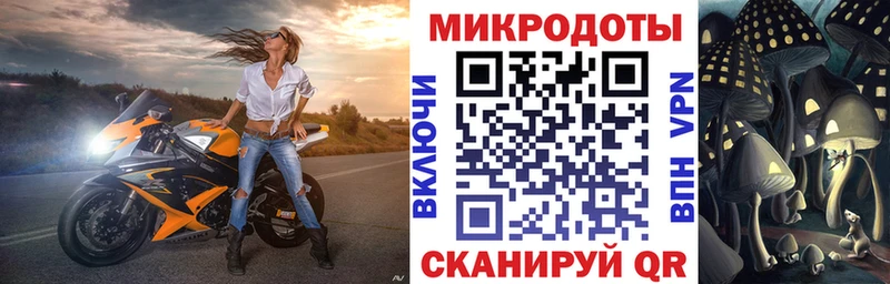Купить  Малгобек  Галлюциногенные грибы GOLDEN TEACHER 